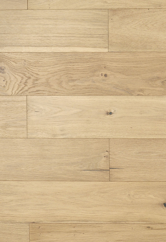 Francia láthatatlan fehér tölgy oa012-10